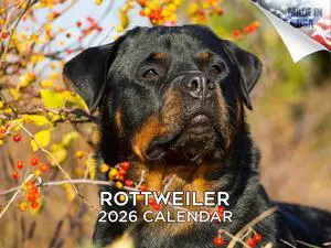 Rottweiler Calendar 2026 2027 14 Month Wall Calendar | Dog Lover Gift, Thick 100# No-Bleed Paper, Large Writing Blocks, Made in USA, Guardian Dog Decor, Teacher Gift Rottweiler Calendar 2026 2027 14 Month Wall Calendar | Dog Lover Gift, Thick 100# No-Bleed Paper, Large Writing Blocks, Made in USA, Guardian Dog Decor, Teacher Gift