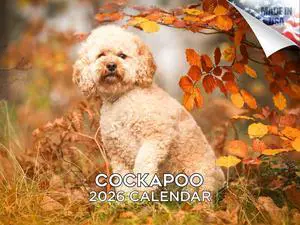 Cockapoo Calendar 2026 2027 14 Month Wall Calendar | Dog Lover Gift, Thick 100# No-Bleed Paper, Large Writing Blocks, Made in USA, Doodle Decor, Teacher Gift Cockapoo Calendar 2026 2027 14 Month Wall Calendar | Dog Lover Gift, Thick 100# No-Bleed Paper, Large Writing Blocks, Made in USA, Doodle Decor, Teacher Gift