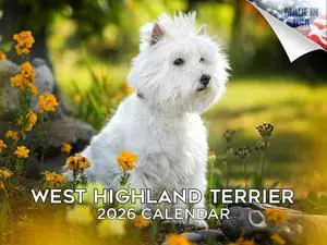 Westie Calendar 2026 2027 14-Month West Highland White Terrier Wall | Dog Lover Gift, Thick 100# No-Bleed Paper, Large Writing Blocks, Made in USA, White Terrier Decor, Teacher Gift Westie Calendar 2026 2027 14-Month West Highland White Terrier Wall | Dog Lover Gift, Thick 100# No-Bleed Paper, Large Writing Blocks, Made in USA, White Terrier Decor, Teacher Gift