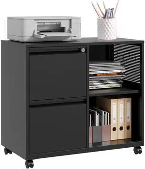 2 Drawer File Cabinet with Lock and Shelf,Mobile Lateral Filing Cabinet,Metal Filing Cabinets with Open Storage Shelves Organizer for Home Office Fit Legal/Letter A4 Size (Black) 2 Drawer File Cabinet with Lock and Shelf,Mobile Lateral Filing Cabinet,Metal Filing Cabinets with Open Storage Shelves Organizer for Home Office Fit Legal/Letter A4 Size (Black)
