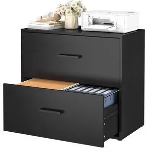 File Cabinet 2 Drawer, Lateral File Cabinet with Hanging Bars for Letters, Printer Stand Filing Cabinets for Home Office, Black File Cabinet 2 Drawer, Lateral File Cabinet with Hanging Bars for Letters, Printer Stand Filing Cabinets for Home Office, Black