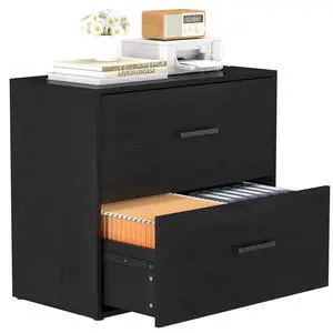 File Cabinet, 2 Drawer Lateral Filing Cabinet with Hanging Bars for Letters, Black File Cabinets for Home Office, Large Printer Stand, Wood Office Storage Cabinet File Cabinet, 2 Drawer Lateral Filing Cabinet with Hanging Bars for Letters, Black File Cabinets for Home Office, Large Printer Stand, Wood Office Storage Cabinet
