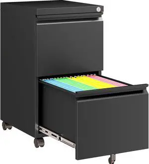 Assembled 2 Drawer File Cabinet on Wheels,Metal Filing Cabinet with Lock,Black Rolling File Cabinets,Under Desk Office Cabinets for Home Office,Fit A4/Letter/Legal,Pre-Assembled Except Caster Assembled 2 Drawer File Cabinet on Wheels,Metal Filing Cabinet with Lock,Black Rolling File Cabinets,Under Desk Office Cabinets for Home Office,Fit A4/Letter/Legal,Pre-Assembled Except Caster
