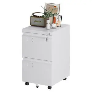 2 Drawer Metal File Cabinet with Lock and Wheels, White | 5 casters with 2 locking front wheels; stores Letter and A4 files for home offices and compact workspaces 2 Drawer Metal File Cabinet with Lock and Wheels, White | 5 casters with 2 locking front wheels; stores Letter and A4 files for home offices and compact workspaces
