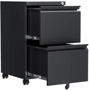 2 Drawer File Cabinet, Fully Assembled Mobile File Cabinets with Lock, Metal Rolling Filing Caninet on Wheels, Small Two Drawer Under Desk Cabnet for Letter/Legal / A4 / File Box - Black 2 Drawer File Cabinet, Fully Assembled Mobile File Cabinets with Lock, Metal Rolling Filing Caninet on Wheels, Small Two Drawer Under Desk Cabnet for Letter/Legal / A4 / File Box - Black