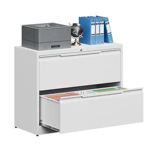 Metal File Cabinet with Lock, 2 Drawer File Lateral Cabinet | Lockable Lateral Filing Cabinet for A4/F4/Lagel/Letter Assembly Required Metal File Cabinet with Lock, 2 Drawer File Lateral Cabinet | Lockable Lateral Filing Cabinet for A4/F4/Lagel/Letter Assembly Required
