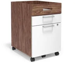 2 Drawer Mobile File Cabinet, Rolling Printer Stand, Vertical Filing Cabinet, Office Drawers, Filing Cart for Home Office, A4/Letter Size, Black and Rustic Brown BFK20WJ01 2 Drawer Mobile File Cabinet, Rolling Printer Stand, Vertical Filing Cabinet, Office Drawers, Filing Cart for Home Office, A4/Letter Size, Black and Rustic Brown BFK20WJ01