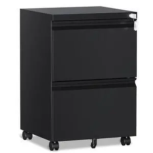 2 Drawer File CabinetMobile Filing Cabinet with Lock and WheelsFully Assembled Metal Under Desk File Cabinets for A4/Letter/Legal SizeBlack 2 Drawer File CabinetMobile Filing Cabinet with Lock and WheelsFully Assembled Metal Under Desk File Cabinets for A4/Letter/Legal SizeBlack