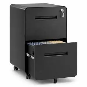 2 Drawer File Cabinet with Lock, Fully Assembled Mobile Cabinet | 25"H x 16"W x 18"D, Metal Filing Cabinet on Wheels for Home Office, Under Desk Storage Cabinet for Letters/Legal/A4 2 Drawer File Cabinet with Lock, Fully Assembled Mobile Cabinet | 25"H x 16"W x 18"D, Metal Filing Cabinet on Wheels for Home Office, Under Desk Storage Cabinet for Letters/Legal/A4
