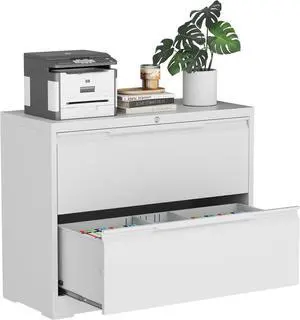 2-Drawer Metal File Cabinet with Lock,Steel Printer Stand with Storage for Home Office,Lateral Filing Cabinet for Legal/Letter/A4 Files,Assembly Required(35.43''W-2 Drawers,White) 2-Drawer Metal File Cabinet with Lock,Steel Printer Stand with Storage for Home Office,Lateral Filing Cabinet for Legal/Letter/A4 Files,Assembly Required(35.43''W-2 Drawers,White)