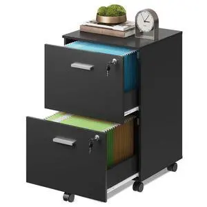 2 Drawer Wood File Cabinet with Lock, Mobile Printer Stand, Black | Under Desk Cabinet, Filing Cabinet, Rolling & Locking, Fits A4 or Letter Size, For Home Office & Study 2 Drawer Wood File Cabinet with Lock, Mobile Printer Stand, Black | Under Desk Cabinet, Filing Cabinet, Rolling & Locking, Fits A4 or Letter Size, For Home Office & Study