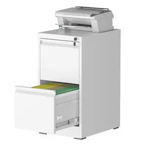 File Cabinet, 2 Drawer File Cabinet with Lock, Steel Vertical Filing Cabinets for Home Office, Heavy Duty File Storage Cabinet for Legal/Letter/A4 Documents, Easy to Assemble, White File Cabinet, 2 Drawer File Cabinet with Lock, Steel Vertical Filing Cabinets for Home Office, Heavy Duty File Storage Cabinet for Legal/Letter/A4 Documents, Easy to Assemble, White