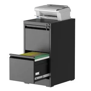 2 Drawer File Cabinet with Lock, File Cabinet, Steel Vertical Filing Cabinets for Home Office, Heavy Duty File Storage Cabinet for Legal/Letter/A4 Documents, Easy to Assemble, Black 2 Drawer File Cabinet with Lock, File Cabinet, Steel Vertical Filing Cabinets for Home Office, Heavy Duty File Storage Cabinet for Legal/Letter/A4 Documents, Easy to Assemble, Black