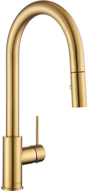 AS60BG Brushed Gold Brightly Kitchen Sink Faucet with Pull Down Sprayer Single Handle AS60BG Brushed Gold Brightly Kitchen Sink Faucet with Pull Down Sprayer Single Handle
