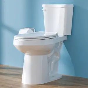 19 Inch ADA Elongated Tall Toilet for Seniors 1.28 GPF Single Flush White | Two Piece High Toilet for Bathroom, Comfort Seat Height 20", 12" Rough In 19 Inch ADA Elongated Tall Toilet for Seniors 1.28 GPF Single Flush White | Two Piece High Toilet for Bathroom, Comfort Seat Height 20", 12" Rough In