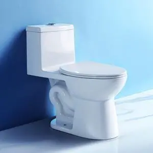 360° TSUNAMI Flush One-piece Toilet: 17.3" ADA Height, Nano Self-Cleaning, WaterSense/MAP/CUPC Certified, 0.8/1.28 Gal Dual Flush-Water saving, Elongated Bowl & Soft-Close Seat,12" Rough-In 360° TSUNAMI Flush One-piece Toilet: 17.3" ADA Height, Nano Self-Cleaning, WaterSense/MAP/CUPC Certified, 0.8/1.28 Gal Dual Flush-Water saving, Elongated Bowl & Soft-Close Seat,12" Rough-In