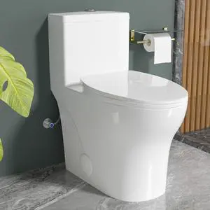17 Inch Elongated One Piece ADA High Modern Toilet for Bathroom | Water Saving Dual Flush 1.0/1.28 GPF, Powerful Tornado Flush Skirted Tall Toilet, Comfort Chair Bowl Heigh 16.5 Inch, White 17 Inch Elongated One Piece ADA High Modern Toilet for Bathroom | Water Saving Dual Flush 1.0/1.28 GPF, Powerful Tornado Flush Skirted Tall Toilet, Comfort Chair Bowl Heigh 16.5 Inch, White