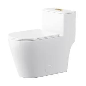 Elongated One Piece Toilet with 17" ADA Comfort Chair Height Seat Compact Toilet for Bathroom Dual Flush 1.1/1.6GPF, 12'' Rough-in, Dual Flush Toilet Button Golden Elongated One Piece Toilet with 17" ADA Comfort Chair Height Seat Compact Toilet for Bathroom Dual Flush 1.1/1.6GPF, 12'' Rough-in, Dual Flush Toilet Button Golden