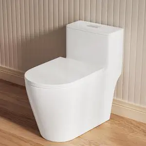 Elongated One Piece Toilet with 17" ADA Comfort Chair Height Seat Compact Toilet for Bathroom Dual Flush 1.1/1.6GPF, 12'' Rough-in, High Efficiency Flush, Standard White Bowl Elongated One Piece Toilet with 17" ADA Comfort Chair Height Seat Compact Toilet for Bathroom Dual Flush 1.1/1.6GPF, 12'' Rough-in, High Efficiency Flush, Standard White Bowl