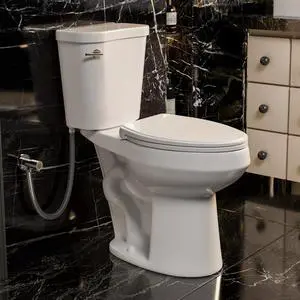 19 Inch High Toilet, ADA & Elongated Extra Tall Toilet for Seniors, Comfort Height Two-Piece Toilet With Soft-Close Seat,12 Rough-In, S-Trap, Siphonic Flush 1.28 GPF 19 Inch High Toilet, ADA & Elongated Extra Tall Toilet for Seniors, Comfort Height Two-Piece Toilet With Soft-Close Seat,12 Rough-In, S-Trap, Siphonic Flush 1.28 GPF