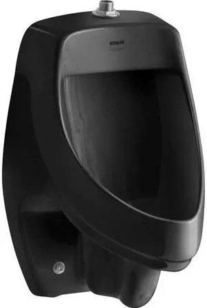 Dexter Accuflush Urinal-Top Spud, Vitreous china, Black Dexter Accuflush Urinal-Top Spud, Vitreous china, Black