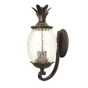 Acclaim 7501BC Lanai Collection 2-Light Wall Mount Outdoor Light Fixture, Black Coral Acclaim 7501BC Lanai Collection 2-Light Wall Mount Outdoor Light Fixture, Black Coral