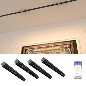 4-Pack Grille Spotlight Magnetic Track Head, 24V 15W CCT Lighting | Dimmable LED Lamp for Track Lighting with APP Remote Control, Adjustable Bright CCT 3000K-6000K, ETL Certified Ceiling Light 4-Pack Grille Spotlight Magnetic Track Head, 24V 15W CCT Lighting | Dimmable LED Lamp for Track Lighting with APP Remote Control, Adjustable Bright CCT 3000K-6000K, ETL Certified Ceiling Light