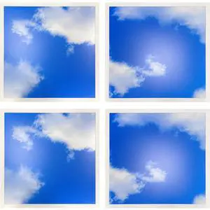 2x2 FT LED Sky Light Flat Panel, 40W, Color Temperature: 6500K, Dimmable Recessed Drop Ceiling Lights, 5000 Lumens, Lay in Fixture for Office, 120-277V, LED Sky Panel Lights ETL Listed (4 Pack) 2x2 FT LED Sky Light Flat Panel, 40W, Color Temperature: 6500K, Dimmable Recessed Drop Ceiling Lights, 5000 Lumens, Lay in Fixture for Office, 120-277V, LED Sky Panel Lights ETL Listed (4 Pack)