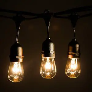 E26 Outdoor Commercial String Lights with Suspended Socket, S14 Clear, 100 | (S14 11 Watt Bulbs, 100 Foot 50 Socket) For Weatherproof Heavy-Duty Vintage Outside Lighting E26 Outdoor Commercial String Lights with Suspended Socket, S14 Clear, 100 | (S14 11 Watt Bulbs, 100 Foot 50 Socket) For Weatherproof Heavy-Duty Vintage Outside Lighting