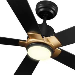 Smart Ceiling Fans with Lights and Remote, 52 Inch Low Profile Ceiling Fan with Dimmable LED Light, 10-Speed Reversible DC Motor Works with APP/Alexa/Google Assistant/Siri Control(Black/Gold) Smart Ceiling Fans with Lights and Remote, 52 Inch Low Profile Ceiling Fan with Dimmable LED Light, 10-Speed Reversible DC Motor Works with APP/Alexa/Google Assistant/Siri Control(Black/Gold)