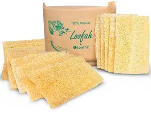 Natural Loofah Kitchen Sponge (XL - 10 Pack) - Natural Sponges for Dishes - Eco Friendly and Compostable Sponges - Biodegradable Plant Based Kitchen Dish Sponge - Plastic Free Dish Scrubber Natural Loofah Kitchen Sponge (XL - 10 Pack) - Natural Sponges for Dishes - Eco Friendly and Compostable Sponges - Biodegradable Plant Based Kitchen Dish Sponge - Plastic Free Dish Scrubber