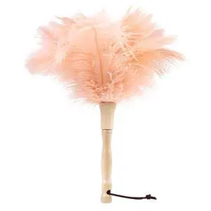 Ostrich Feather Duster 12 Inch Handheld Duster Supplies, Wooden Handle Feather Duster for Cleaning Keyboard Home Car Office (Champagne) Ostrich Feather Duster 12 Inch Handheld Duster Supplies, Wooden Handle Feather Duster for Cleaning Keyboard Home Car Office (Champagne)