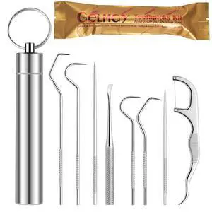 Toothpicks Pocket Set, Dental Floss Picks Kit Reusable, Stainless Steel Teeth Cleaning Tools, Tooth Picker Oral Hygiene Travel (1 Set) Toothpicks Pocket Set, Dental Floss Picks Kit Reusable, Stainless Steel Teeth Cleaning Tools, Tooth Picker Oral Hygiene Travel (1 Set)