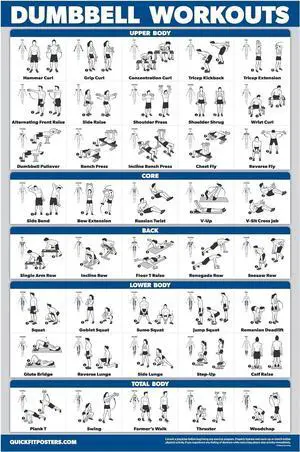 Palace Learning Dumbbell Workout Exercise Poster - Free Weight Body Building Guide | Home Gym Chart - LAMINATED, 18" x 24" Palace Learning Dumbbell Workout Exercise Poster - Free Weight Body Building Guide | Home Gym Chart - LAMINATED, 18" x 24"