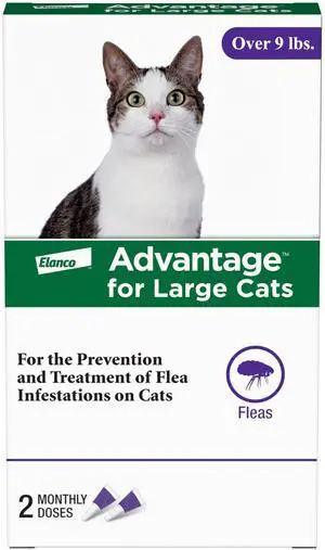 Advantage Topical Cat Flea Treatment and Prevention for Large Cats Over 9 lbs. | Apply Flea Drops Monthly | 2 Treatments Advantage Topical Cat Flea Treatment and Prevention for Large Cats Over 9 lbs. | Apply Flea Drops Monthly | 2 Treatments