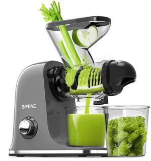 Mini Slow Masticating Juicer, Dual Feed Chute, Quiet Motor, Gray Mini Slow Masticating Juicer, Dual Feed Chute, Quiet Motor, Gray