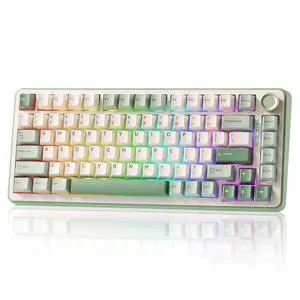 B75 PRO 75% Wireless Mechanical Keyboard(Matcha Green,Cocoa V2) B75 PRO 75% Wireless Mechanical Keyboard(Matcha Green,Cocoa V2)