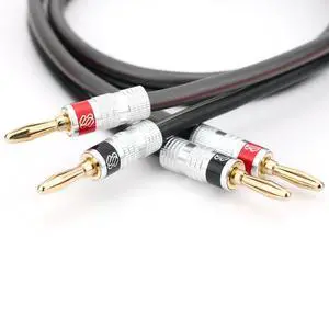 Silverback 10 AWG Speaker Wire with Silverback Banana Plugs - 3 feet, CL3 Rated, Oxygen Free Copper, high Strand Count, Terminated Silverback 10 AWG Speaker Wire with Silverback Banana Plugs - 3 feet, CL3 Rated, Oxygen Free Copper, high Strand Count, Terminated