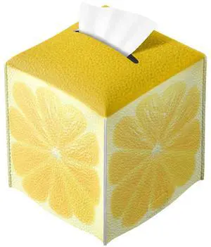 Cute Fruit Tissue Box Cover Funny Yellow Lemon Leather Tissue Box Holder Square Facial Paper Organizer Dispenser for Bathroom Kitchen Bedroom Vanity Countertop Night Stands Cute Fruit Tissue Box Cover Funny Yellow Lemon Leather Tissue Box Holder Square Facial Paper Organizer Dispenser for Bathroom Kitchen Bedroom Vanity Countertop Night Stands