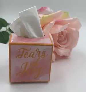 Tears of Joy Mini Tissue Boxes Set of 20 - Pink, Plastic, Rectangular, Playful/Decorative Tears of Joy Mini Tissue Boxes Set of 20 - Pink, Plastic, Rectangular, Playful/Decorative