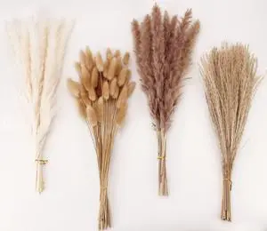 Dried Pampas Grass Decor, 100 Stems Pampas Grass Contains Bunny Tails Dried Flowers, Reed Grass Bouquet for Wedding Boho Flowers Home Table Decor, Rustic Farmhouse Party (17", White and Brown) Dried Pampas Grass Decor, 100 Stems Pampas Grass Contains Bunny Tails Dried Flowers, Reed Grass Bouquet for Wedding Boho Flowers Home Table Decor, Rustic Farmhouse Party (17", White and Brown)