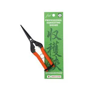 Professional Japanese Harvesting Shears, Straight Precision Blade, Black Fluorine-Coated Stainless Steel, Spring-Loaded, Shock-Absorbing Grip, Safety Lock, Made in Japan Professional Japanese Harvesting Shears, Straight Precision Blade, Black Fluorine-Coated Stainless Steel, Spring-Loaded, Shock-Absorbing Grip, Safety Lock, Made in Japan