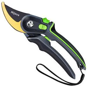 Professional Garden Shears & Clippers Sharp Pruning Shears for Flowers, Twigs, Roses, Grape Vines, Trees & Bonsai | Heavy-Duty Hand Scissors, Secateurs & Trimmers | Perfect Gardening Gift (green) Professional Garden Shears & Clippers Sharp Pruning Shears for Flowers, Twigs, Roses, Grape Vines, Trees & Bonsai | Heavy-Duty Hand Scissors, Secateurs & Trimmers | Perfect Gardening Gift (green)