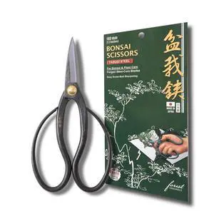 Bonsai Scissors 7in (180mm) Made in Japan Pruning Shears, Sharp Carbon Steel for Precision Trimming, Lightweight Tool for Bonsai, Flowers & Indoor Plants, forest Originals Bonsai Scissors 7in (180mm) Made in Japan Pruning Shears, Sharp Carbon Steel for Precision Trimming, Lightweight Tool for Bonsai, Flowers & Indoor Plants, forest Originals