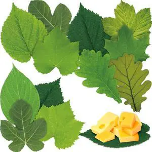 Parchment Paper Leaves 7.2 in Summer Cheese Papers Leaves Charcuterie Boards Summer Camping Parchments Sheet Decorative for Plate Table Festival Party Food Serving, 10 Styles Parchment Paper Leaves 7.2 in Summer Cheese Papers Leaves Charcuterie Boards Summer Camping Parchments Sheet Decorative for Plate Table Festival Party Food Serving, 10 Styles