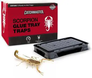 Adhesive Scorpion Killer for Home, Simple Insect Traps Indoor, Sticky Bug Catcher for Kitchen, Garage, & Basement, Pest Control Glue Trap Adhesive Scorpion Killer for Home, Simple Insect Traps Indoor, Sticky Bug Catcher for Kitchen, Garage, & Basement, Pest Control Glue Trap