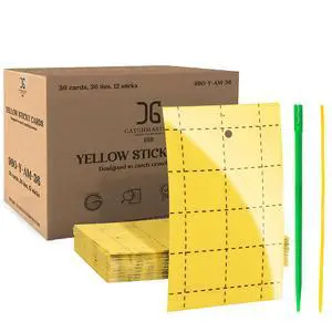 Yellow Regular Double Sided Sticky Traps 36PK, Adhesive Bug & Fruit Fly Trap, Pest Control for Home, Farm, Garden, Hydroponics & Greenhouse, Protect Live Plants Indoor & Outdoor Yellow Regular Double Sided Sticky Traps 36PK, Adhesive Bug & Fruit Fly Trap, Pest Control for Home, Farm, Garden, Hydroponics & Greenhouse, Protect Live Plants Indoor & Outdoor