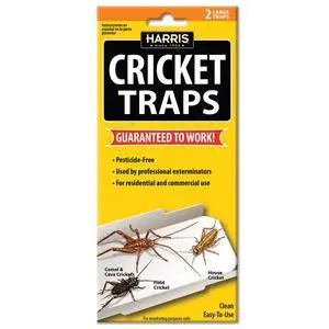 Cricket Glue Traps, (2-Pack) Cricket Glue Traps, (2-Pack)