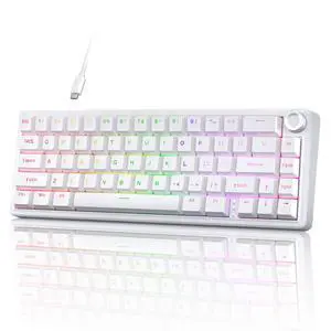 Wired Gaming Mechanical Keyboard, RGB Backlit Hot-Swappable Gasket Mount, Creamy Keyboard with Pre-Lubed Blueberry Switch, White Wired Gaming Mechanical Keyboard, RGB Backlit Hot-Swappable Gasket Mount, Creamy Keyboard with Pre-Lubed Blueberry Switch, White