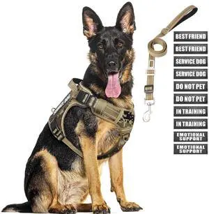 Tactical Dog Harness and Leash Set with 10 Patches for Large Dogs Tactical Dog Harness and Leash Set with 10 Patches for Large Dogs